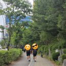 위례롯데공인중개사사무소 | 롯데부동산에서 직접 본 위례 롯데캐슬 하교길과 대형수학학원 버스 동선