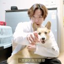친구떡집