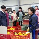 한창 이미지