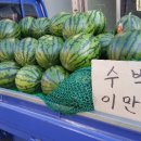 수박곡 이미지
