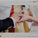 자유카 이미지