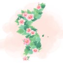 천지본올파워코리아 이미지