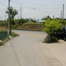 임자공인중개사사무소 이미지