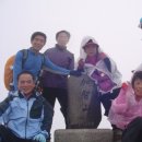 남명초교 이미지