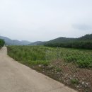 효선보건진료소 이미지