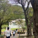 양주시 미술관 옆 캠핑장 | 양주장흥 미술관옆캠핑장 // 예약, 할인 방법