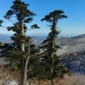 삼천목공소