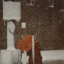 눈 오는 겨울하면 가장 먼저 생각나는 사진작가, 사울레이터 (Saul Leiter) 이미지