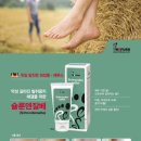 레푸스&양귀비네일 이미지