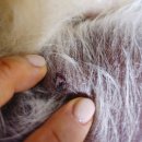 두카메디컬센터 이미지