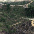 동남바이오농장 이미지