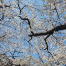 좋은 消息 이미지