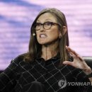브라보언니 이미지