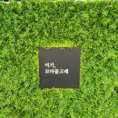 꼬마돌고래감성놀이터