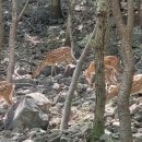 봉화산2농장 이미지