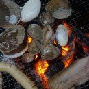 오션이니스프리 펜션 이미지