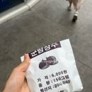 단양집민박 | [남해/여수] 여름 휴가 😎 2박3일 남해, 여수 여행 Day1,2