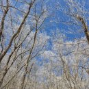 내장산국립공원화장실(벽련암) | 내장산국립공원 신선봉 : 2026년 첫 겨울 눈꽃 산행 등산 코스