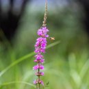 운길산역 이미지