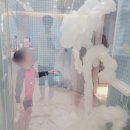 경기 고양 키즈풀 쁘띠풀하우스 실내수영장 후기