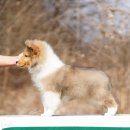 레디에이트(RADIATE) 이미지