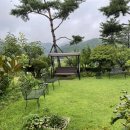 보불로펜션 이미지