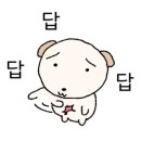 목포미즈아이병원