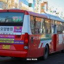 현대공판장 이미지
