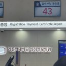 성모한의원 | <임신> 36주차 / 벨마비 / 구안와사 / 인천성모병원