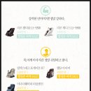 힐링훼미리 이미지