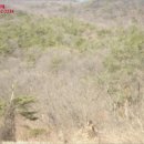 복탄보건진료소 이미지