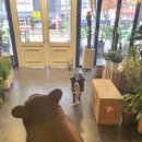 설죽로L | 광주 용봉동 전철우 근처 감각적인 예쁜 꽃집 르로제 꽃다발 같은 한 송이 구매 후기