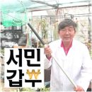 갑부조경 이미지