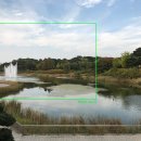 디카플러스 이미지