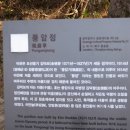 토끼의 점심 Daum카페