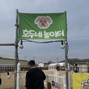 시흥 애견카페 애견운동장 추천 호두네놀ㅇㅣ터 방문 후기 ((내돈내산))