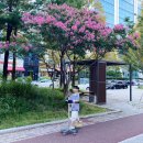탄방엠블병원 | [마이코플라즈마 탄방엠블입원] 초등아이의 입원치료후기_캠핑같고 싶었던 3박4일 입원_놀고먹다퇴원한후기