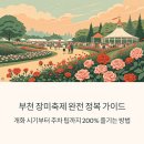 장미축제 이미지