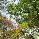 명리학지도사 이미지