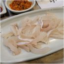 정자참가자미 이미지