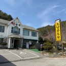 정동진 | 정동진 밥집 썬한식 본점 솔직 후기