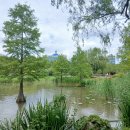 보라매공원 이미지