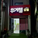 전남 장흥 회진항 맛집(다복).모텔(휘게텔) 이용후기