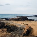 엘리펀트 마켓 이미지