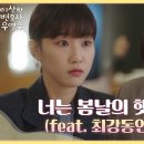 봄날의 햇살 이미지