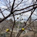 김종길 농장 이미지