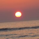 신안자연휴양림 이미지