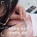 대전 속눈썹학원 속눈썹연장펌 배워본 현실후기 (+자격증?)