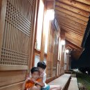 대경로 소나무 | 경주 춘추관 한옥 펜션 후기, 집사부일체 촬영지, 밤에도 예쁜 조용하고 고즈넉한 펜션