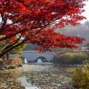 금강수목원(아) 이미지